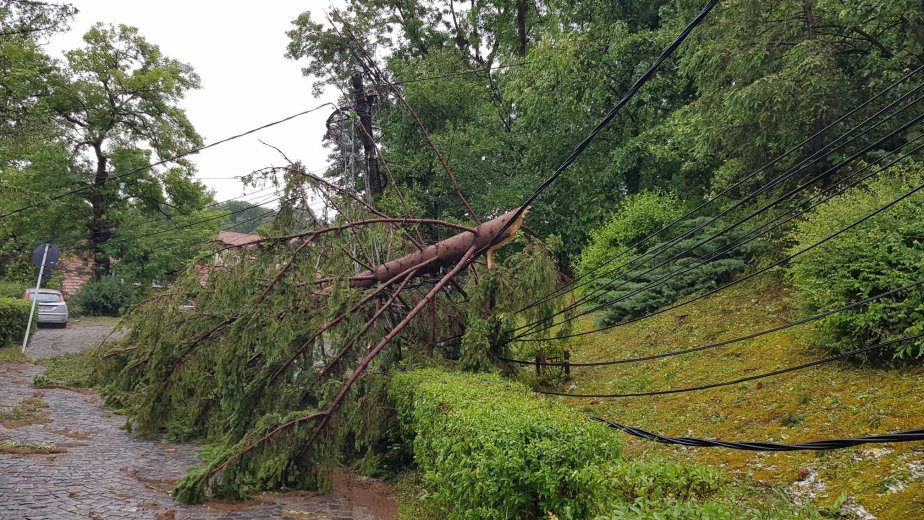 A keddi viharok is több erdélyi megyében okoztak károkat